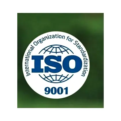 ISO 9001