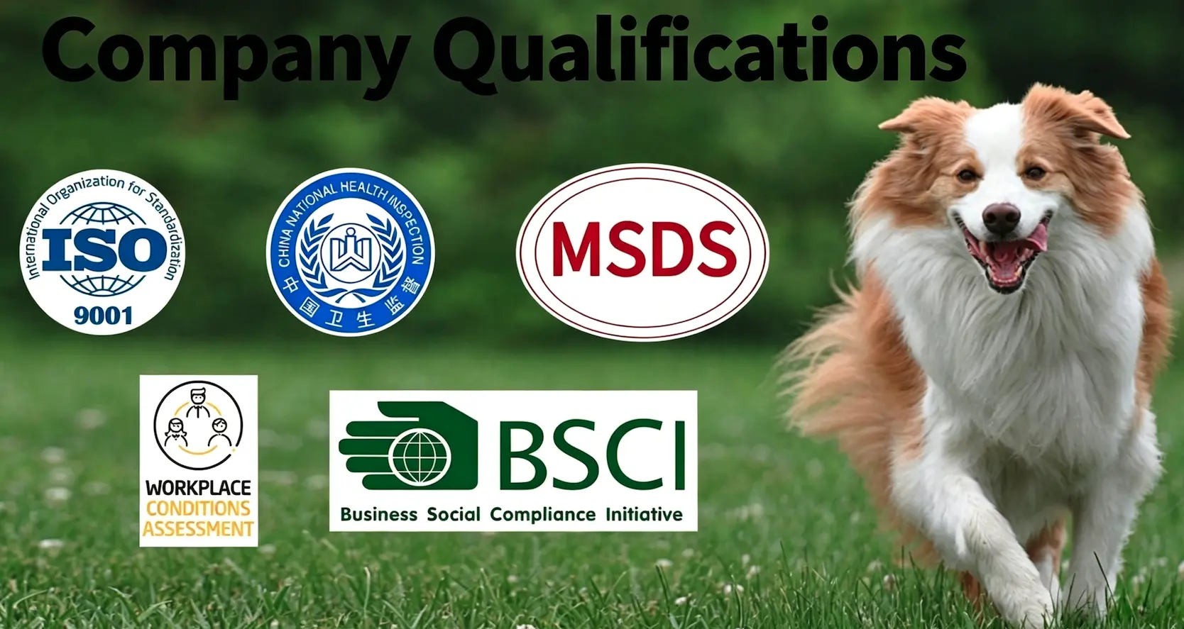 Quality and compliance systems